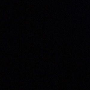 Meet your Posher, Landon